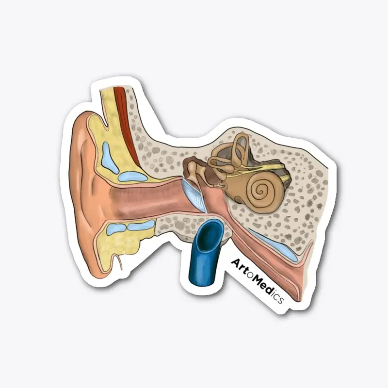 Ear canal