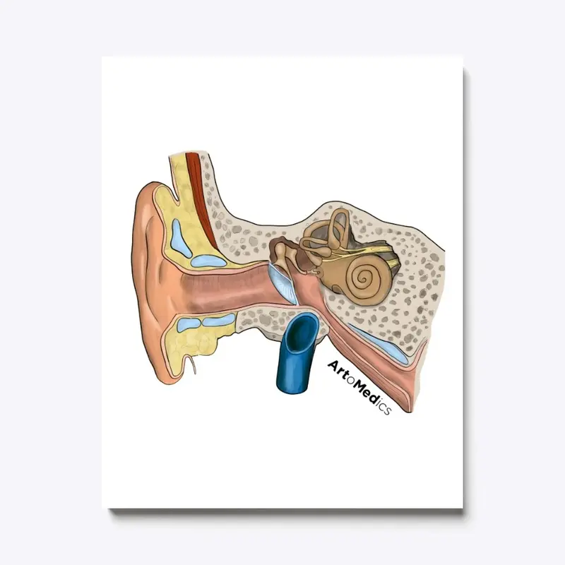 Ear canal