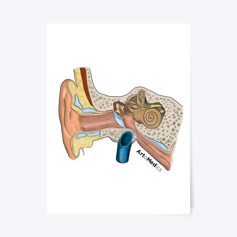 Ear canal